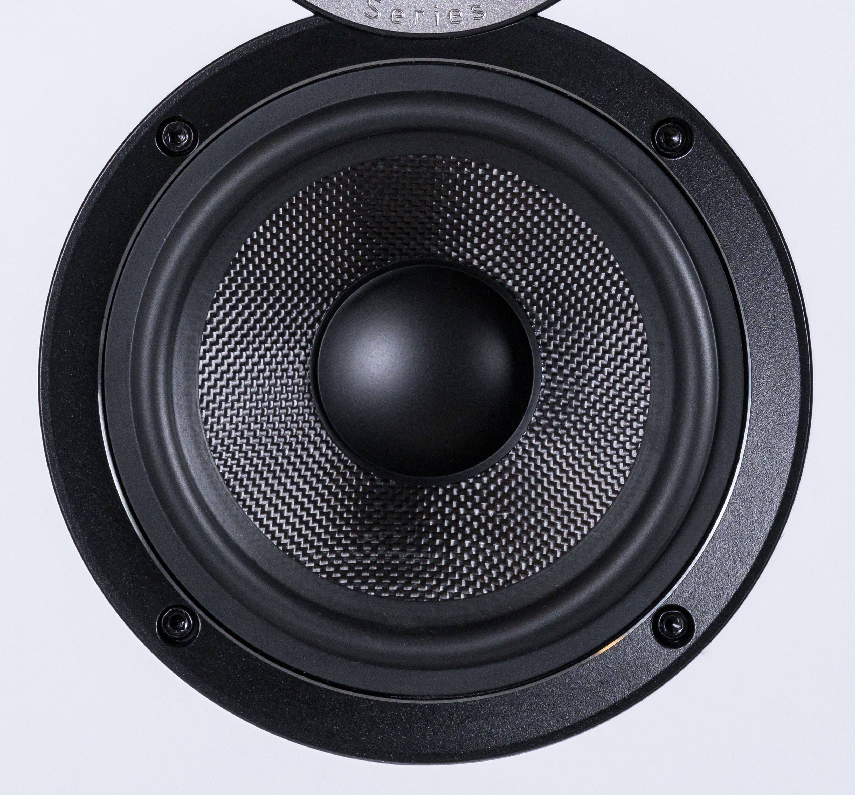 Cast Chassis Woofer