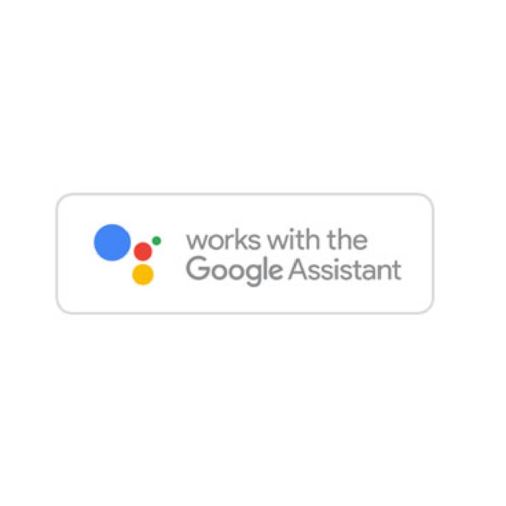 Google Assistant Voice Control