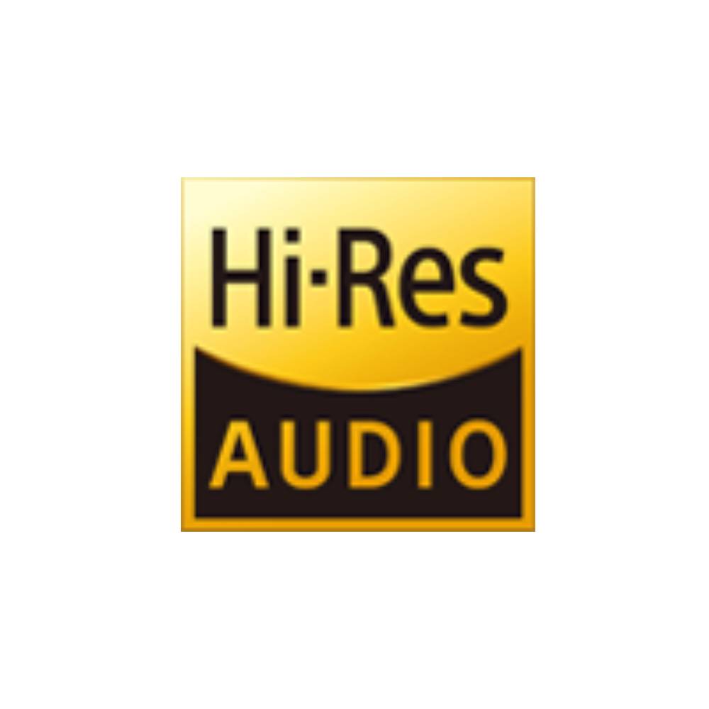 Hi-Res Audio Support