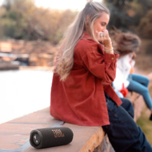 JBL Flip 7 Portable Bluetooth Speaker, Black