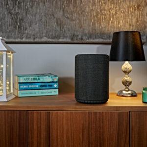 Audio Pro G10 speaker