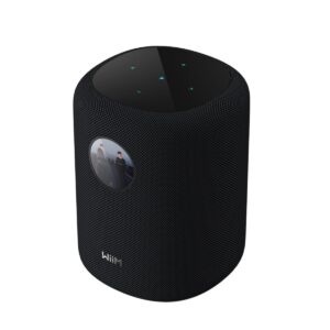 WiiM Sound Wireless Smart Speaker