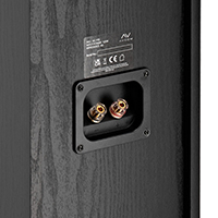 Secure amplifier connections