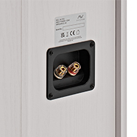 Secure amplifier connections