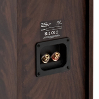 Secure amplifier connections