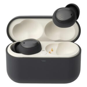 Final Audio ZE500 True Wireless ASMR Earphones, Dark Grey